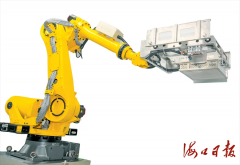 <strong>自贸港政策盈利的持续</strong>